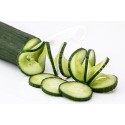 Concombre