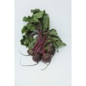 Betteraves rouges cuites sous vide ( France PACA)