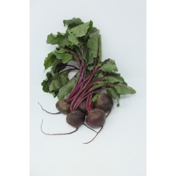 Betteraves rouges cuites sous vide ( France PACA)