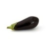 Aubergines